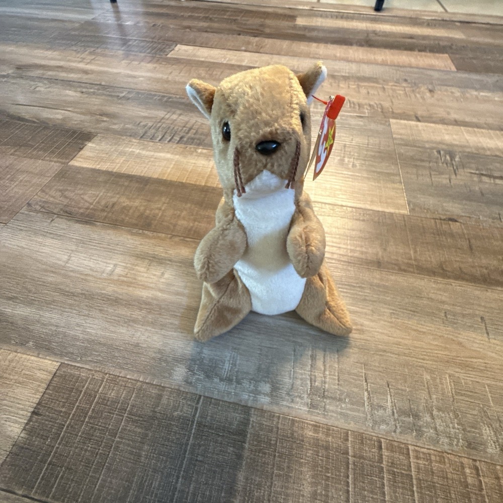 TY Beanie Baby - NUTS the Squirrel (5.5 inch) - MWMTs Stuffed Animal Toy